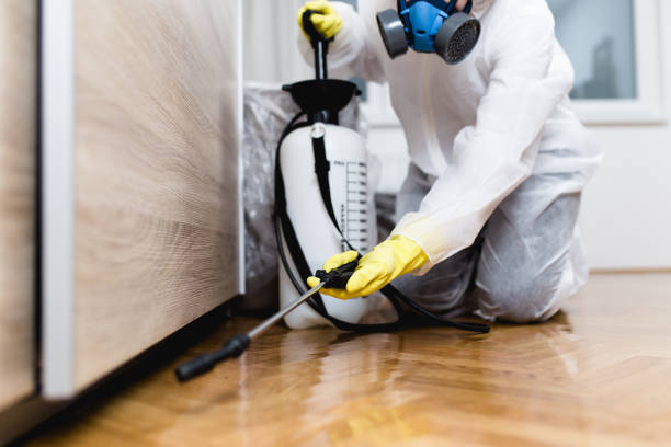 Best Cockroach Control Services  in Larksville, PA