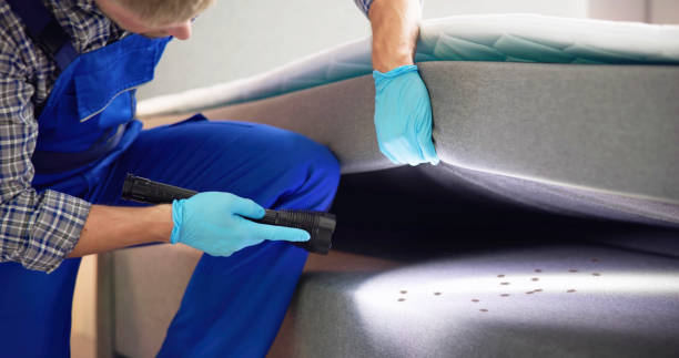 Best Pest Prevention Services  in Larksville, PA