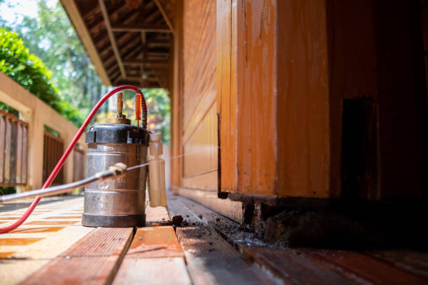 Best Best Pest Control Companies  in Larksville, PA