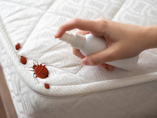 Best Best Pest Control Companies  in Larksville, PA